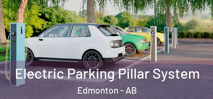 Electric Parking Pillar System Edmonton - AB